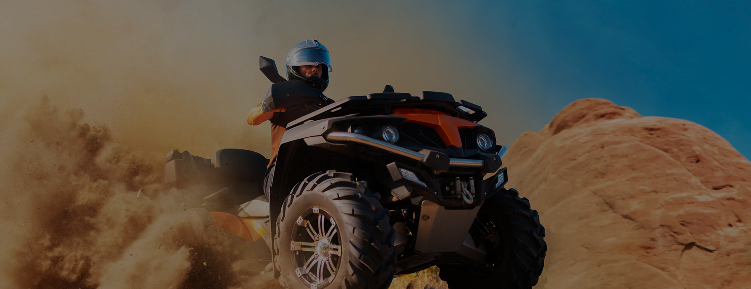 BATTERY CHARGERS PulseTech