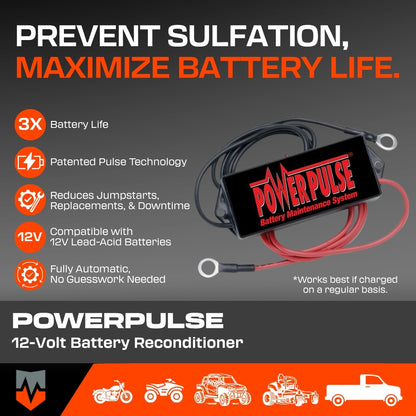 PowerPulse 12-Volt Battery Reconditioner