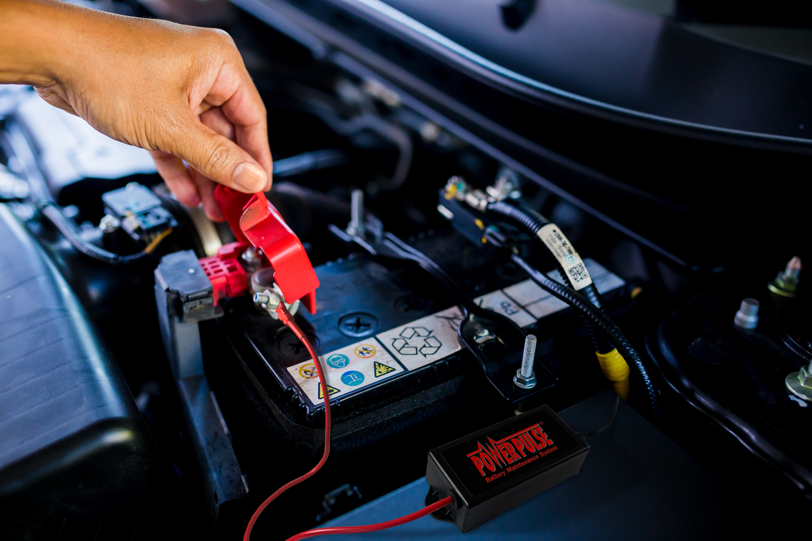 PowerPulse battery maintenance system being used on a 12V car battery